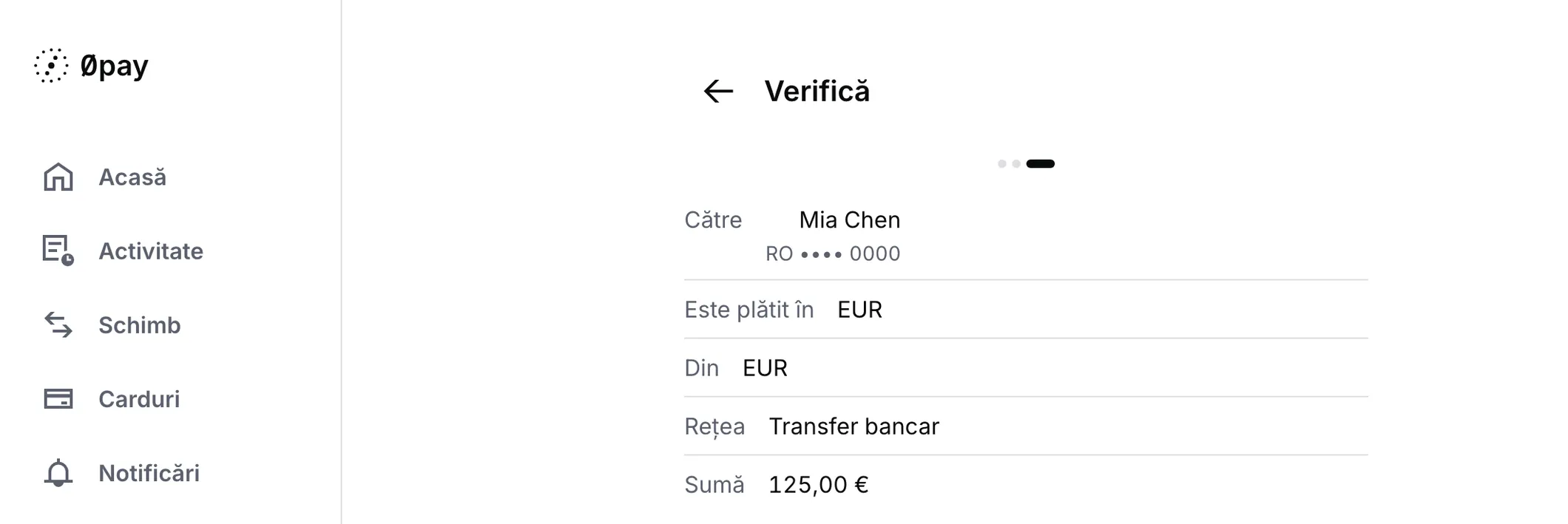 Verificarea unei plăți pe un ecran lat, lângă bara laterală: cine primește, moneda, contul din care pleacă banii, calea de plată și suma