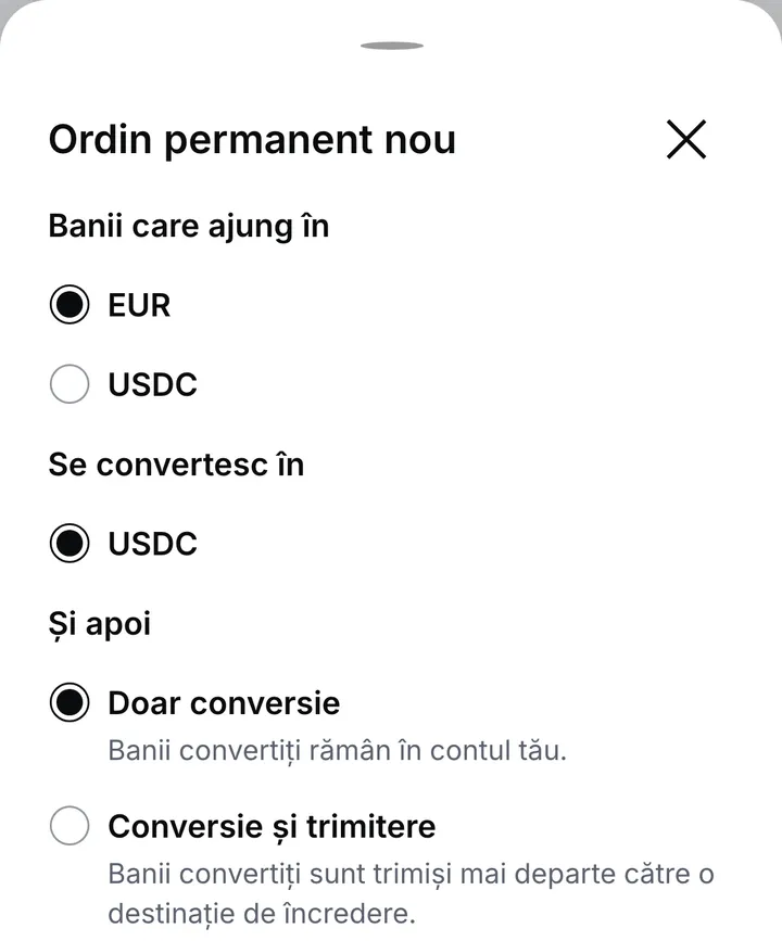 Panoul Ordin permanent nou: moneda în care ajung banii, moneda în care se convertesc și apoi Doar conversie sau Conversie și trimitere